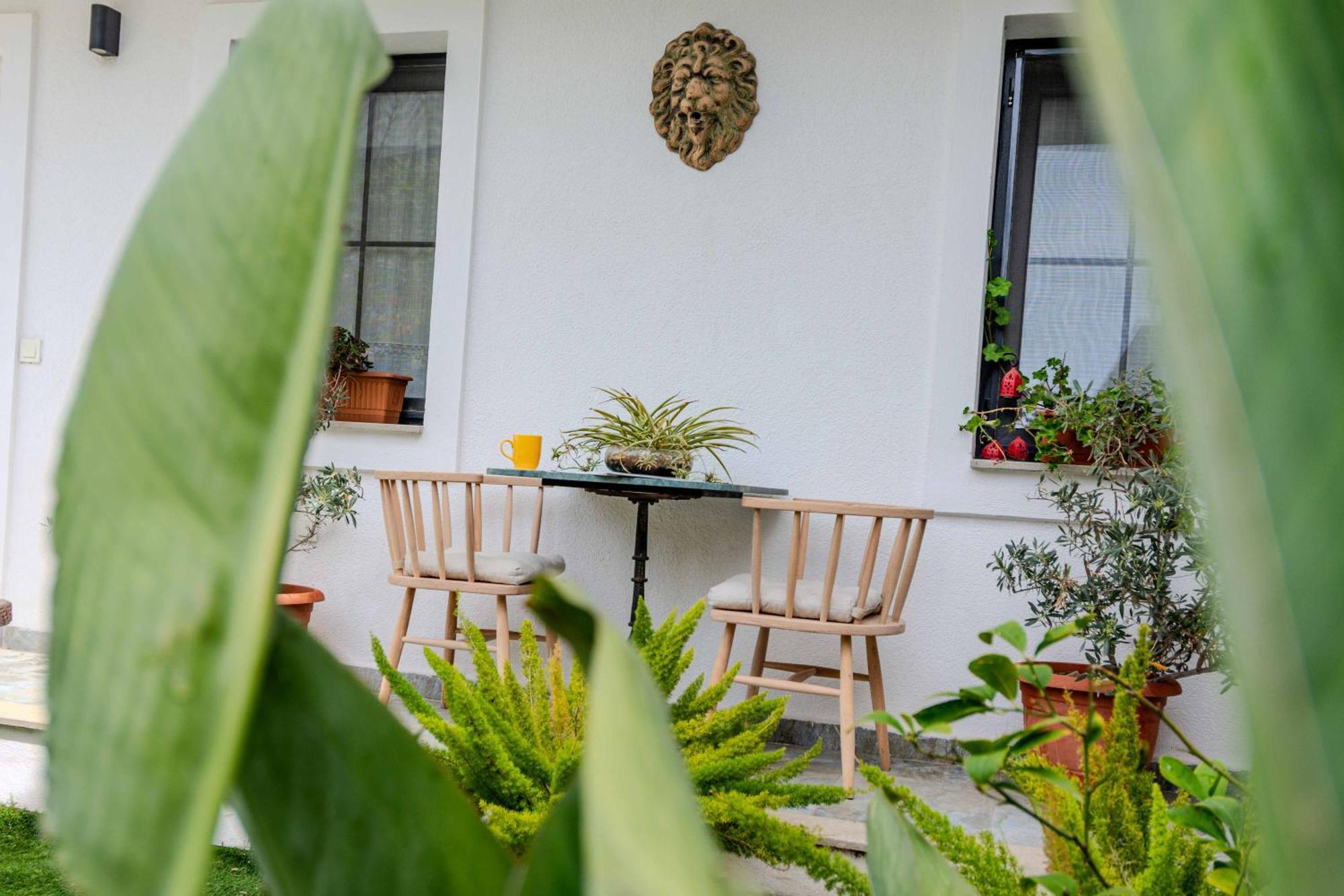 Arden'S House Bed & Breakfast Bodrum Exterior photo